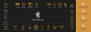 Bonsai Project Partners Infographic